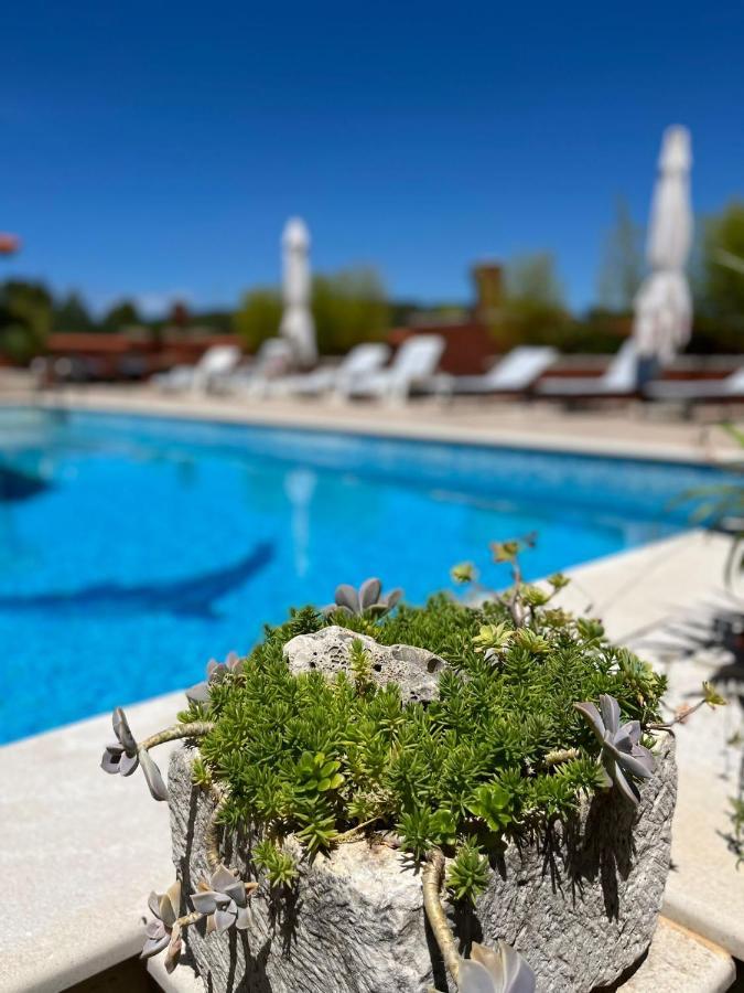 Gorana Apartman With Swimming Pool Apartment Йелса Екстериор снимка