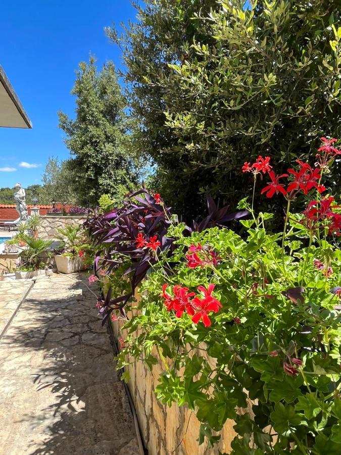 Gorana Apartman With Swimming Pool Apartment Йелса Екстериор снимка